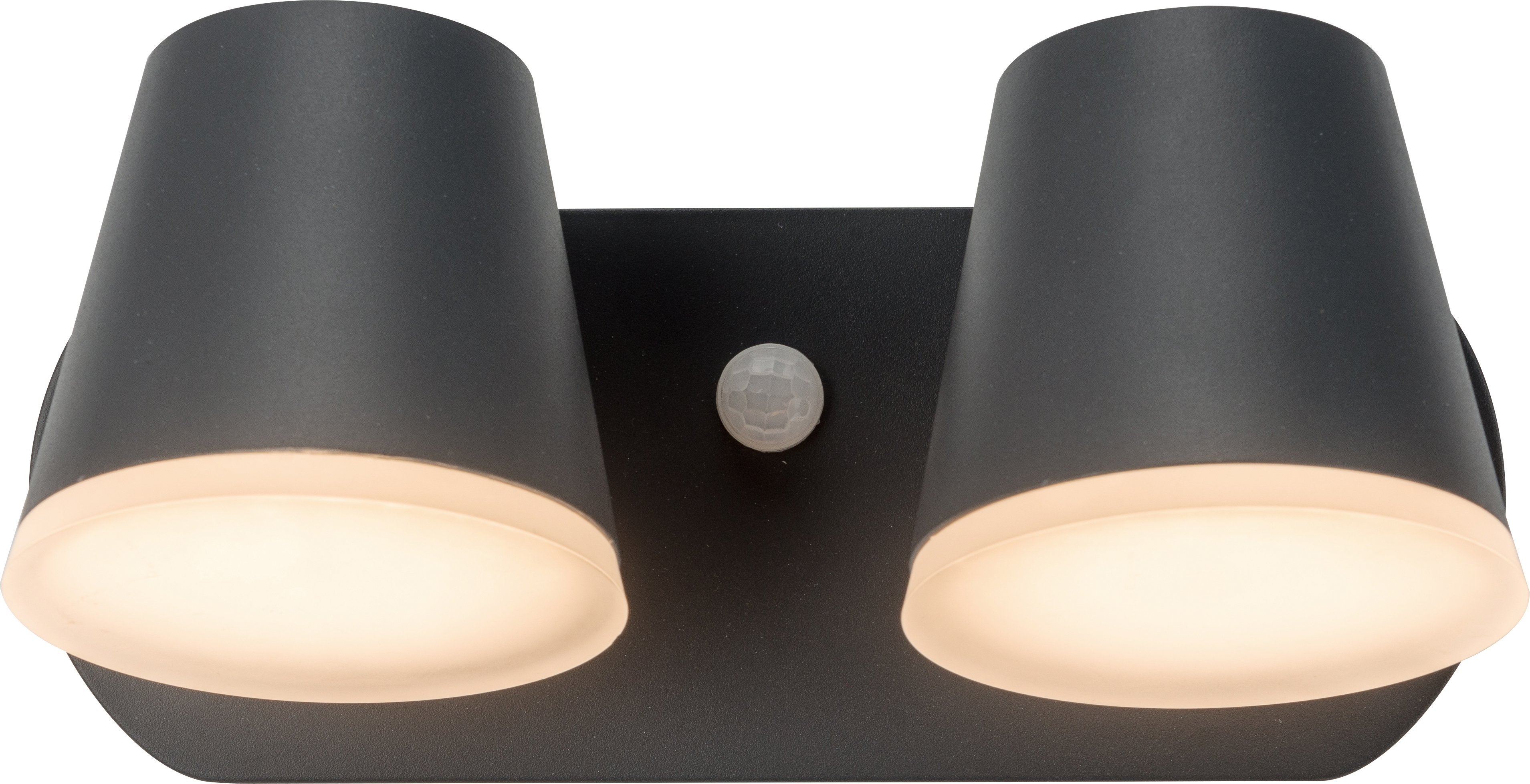 Dual head rotatable wall lamp with induction LED 1982-PIR