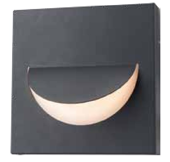 Peculiar shape aluminum LED wall lamp 5221