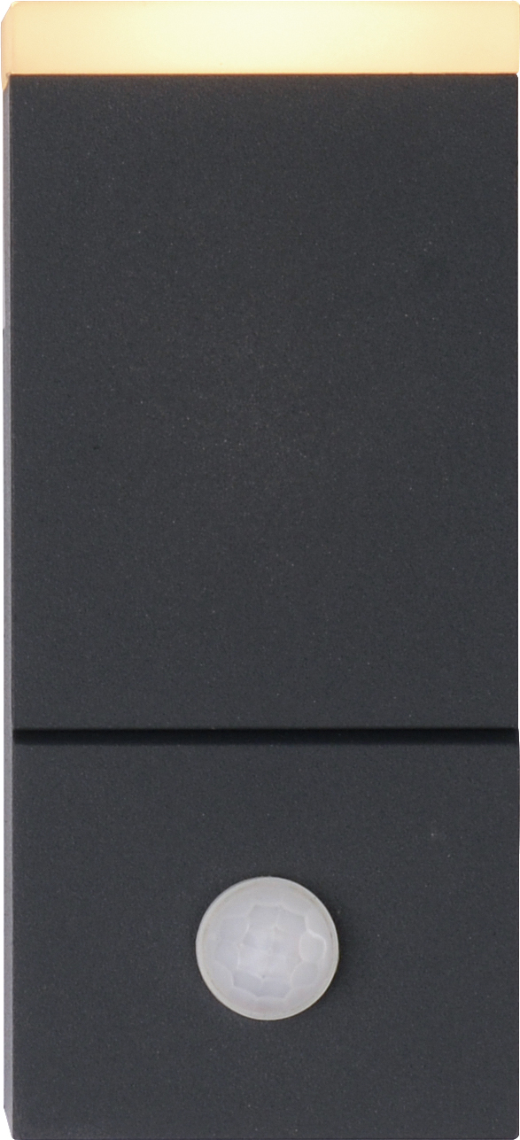 Modern style single head wall light with sensor 1941-PIR
